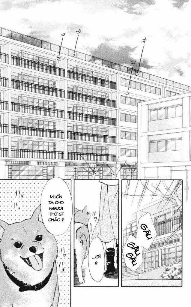 Spiral: Suiri No Kizuna Chapter 62 trang 4