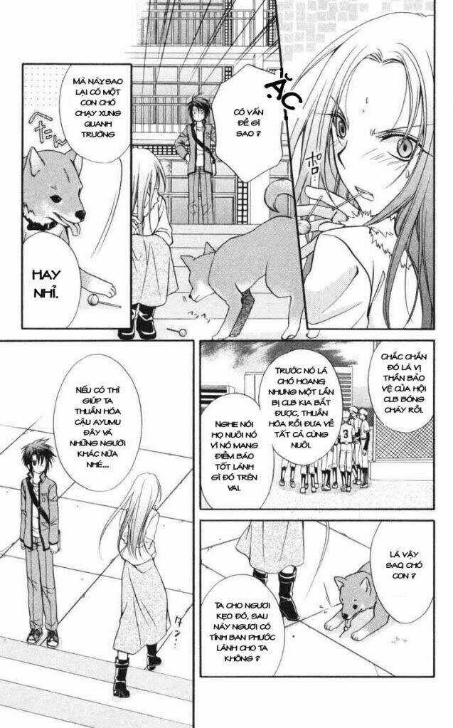 Spiral: Suiri No Kizuna Chapter 62 trang 6