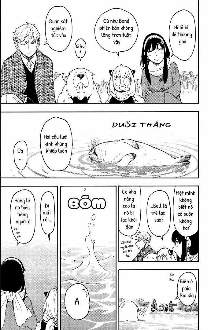 Spy X Family Chapter 103 trang 13