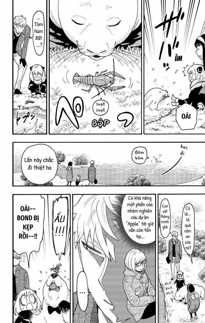 Spy X Family Chapter 103 trang 14