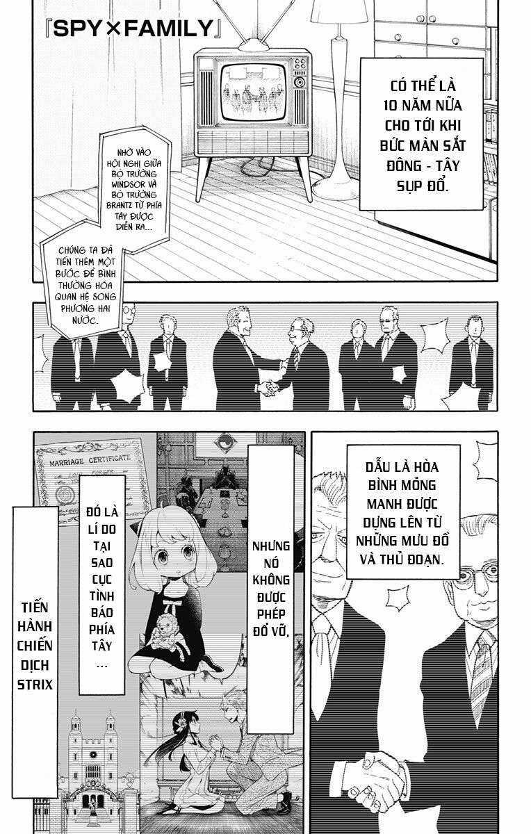 Spy X Family Chapter 12 trang 0