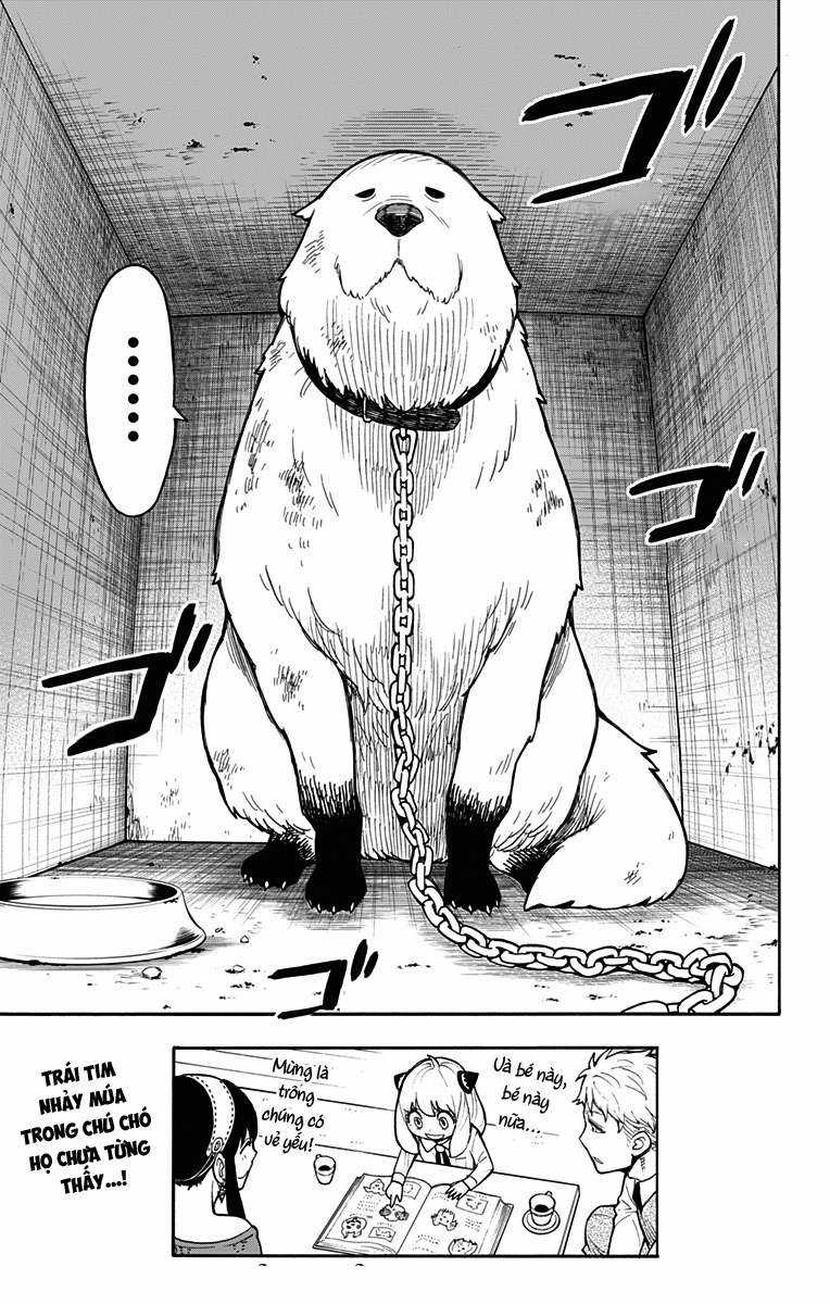 Spy X Family Chapter 17 trang 20