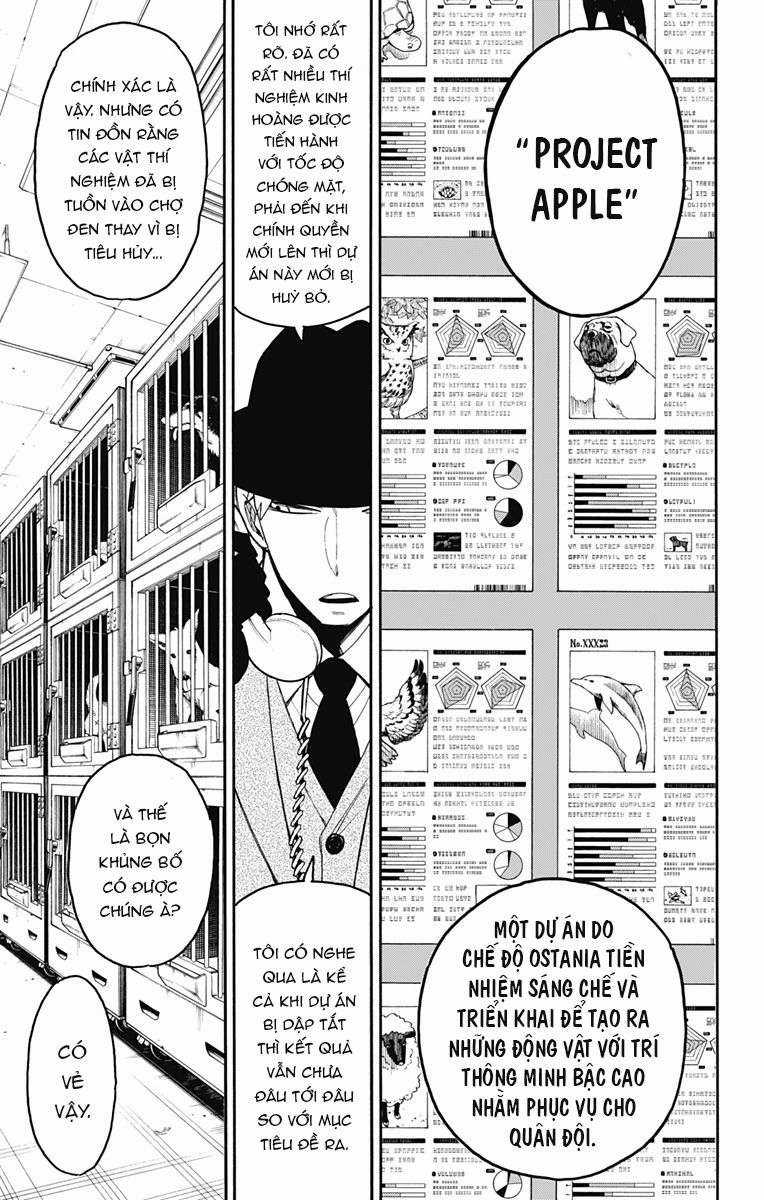 Spy X Family Chapter 19 trang 8