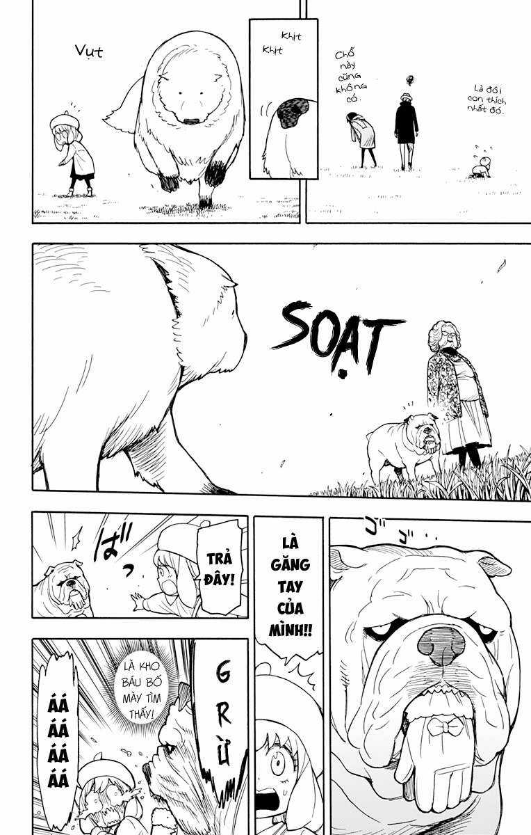 Spy X Family Chapter 23 trang 17