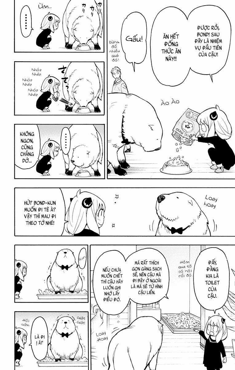 Spy X Family Chapter 23 trang 21