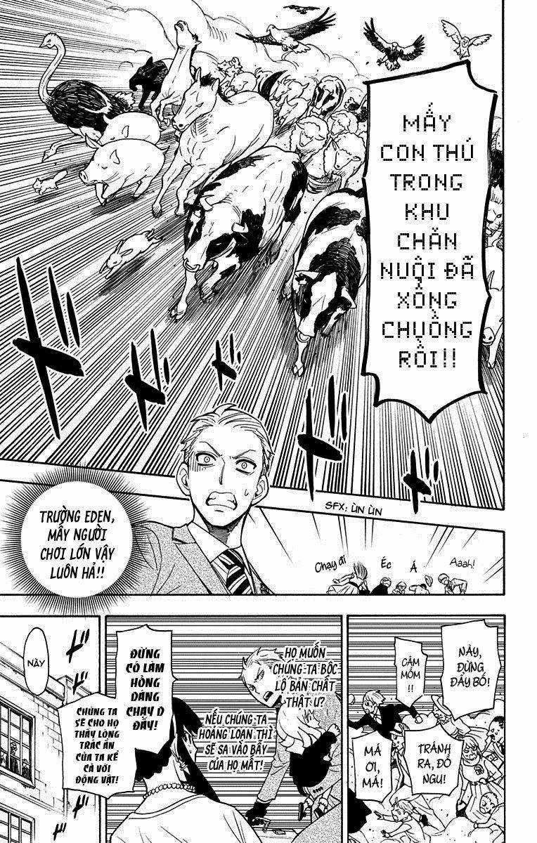 Spy X Family Chapter 4 trang 17