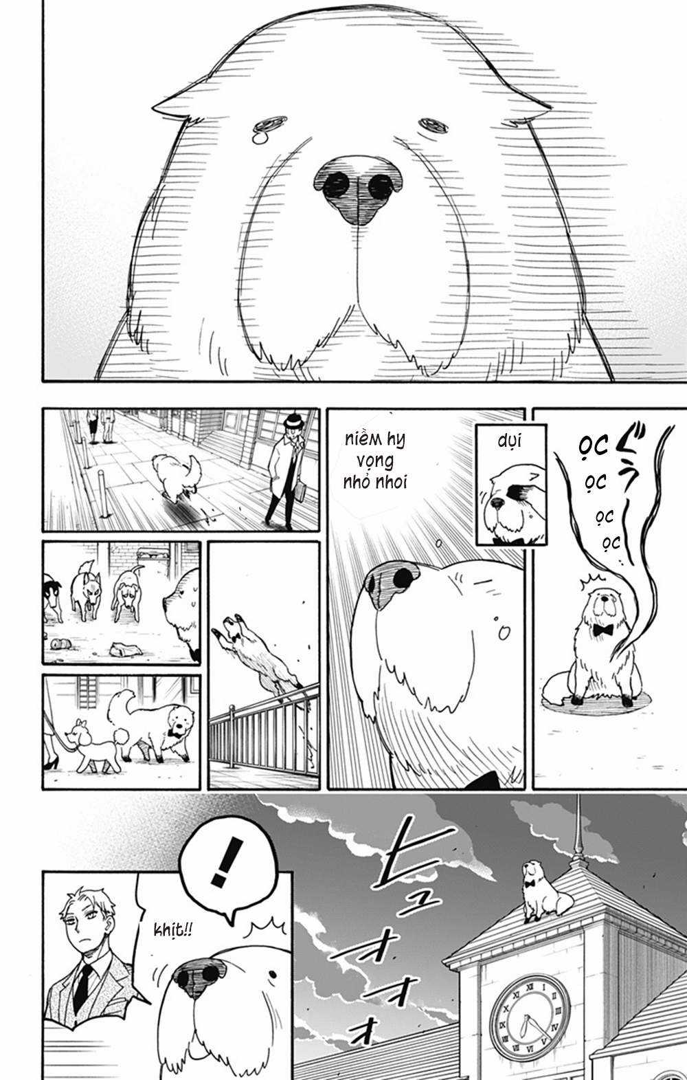 Spy X Family Chapter 40 trang 17