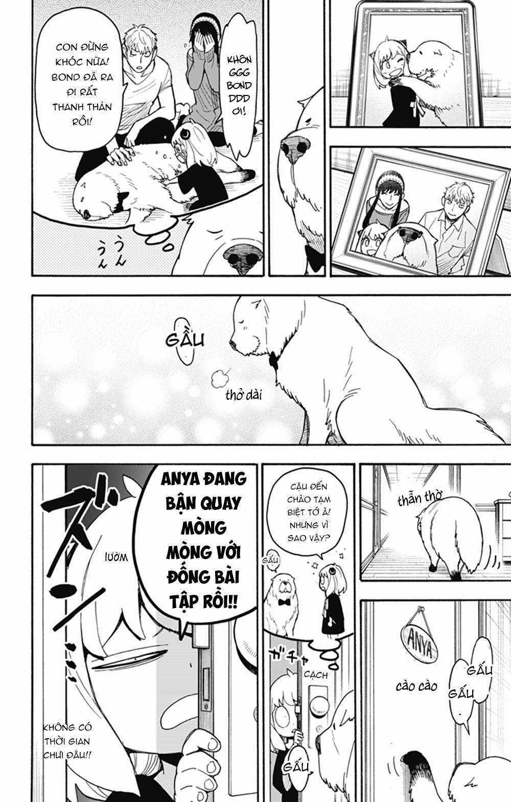 Spy X Family Chapter 40 trang 9