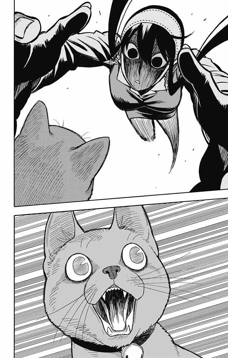 Spy X Family Chapter 43 trang 19