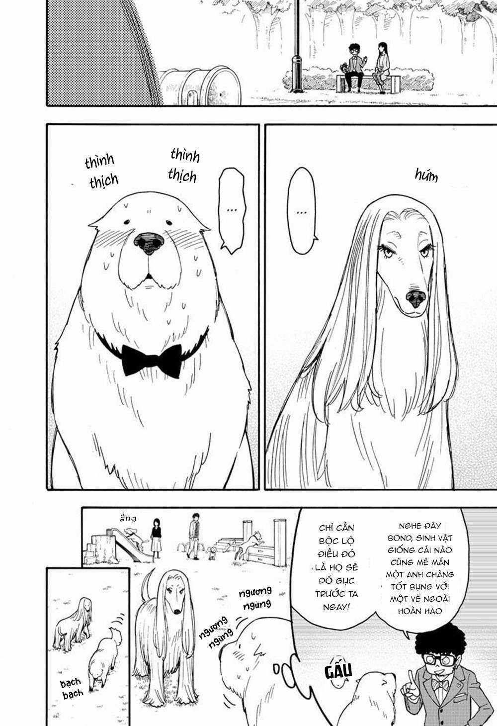 Spy X Family Chapter 62.6 trang 6