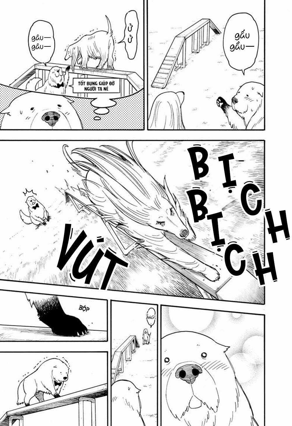 Spy X Family Chapter 62.6 trang 7