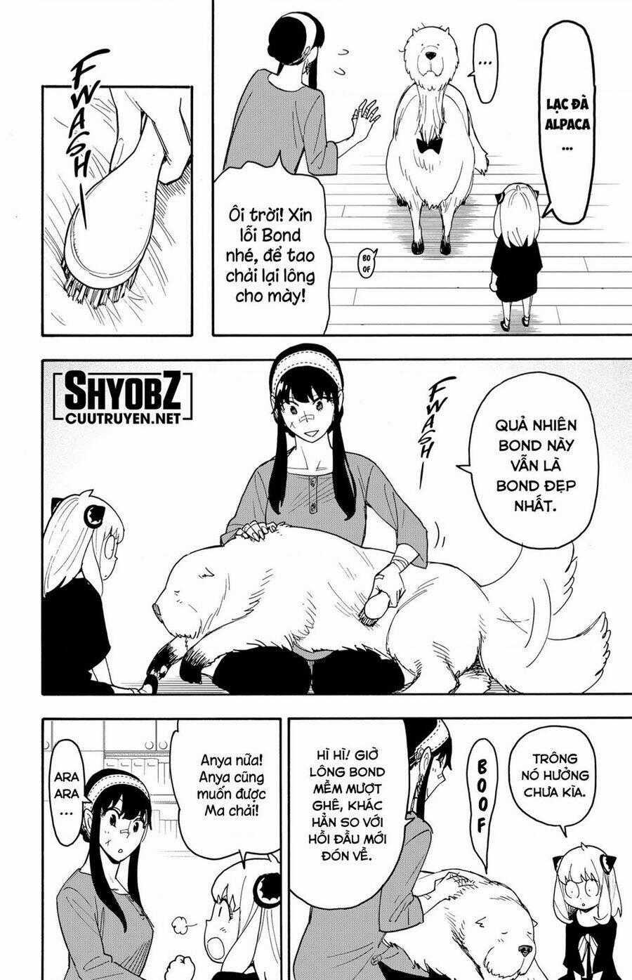 Spy X Family Chapter 87 trang 12