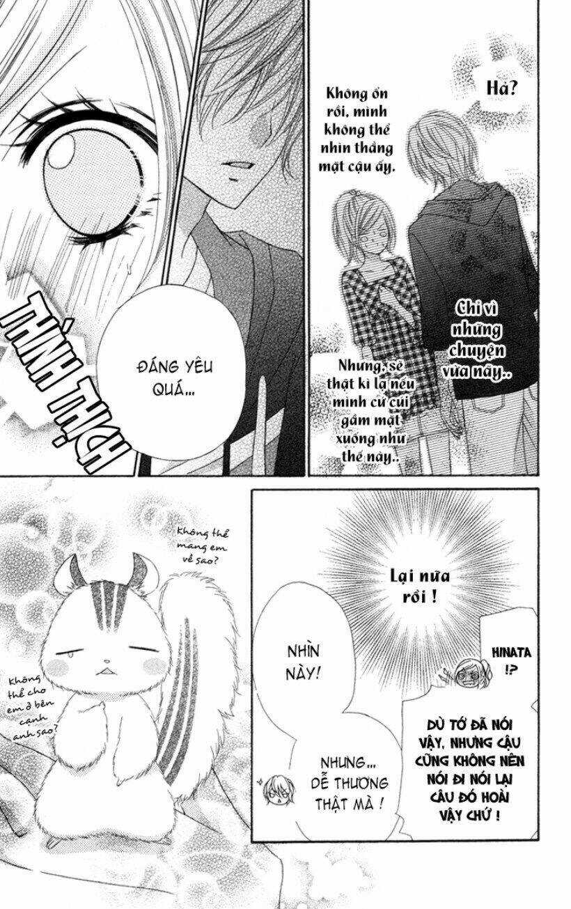 Stardust Wink Chapter 2 trang 5