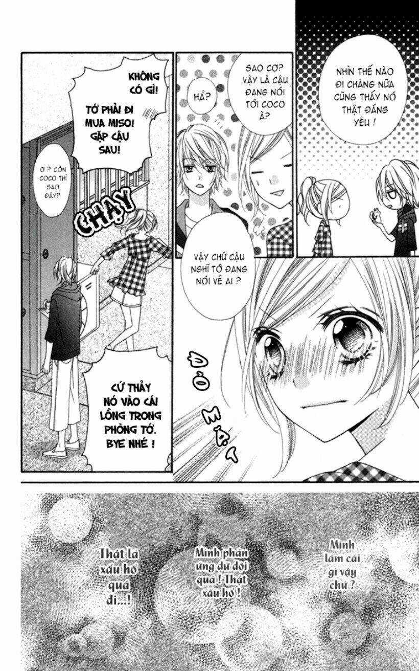 Stardust Wink Chapter 2 trang 6