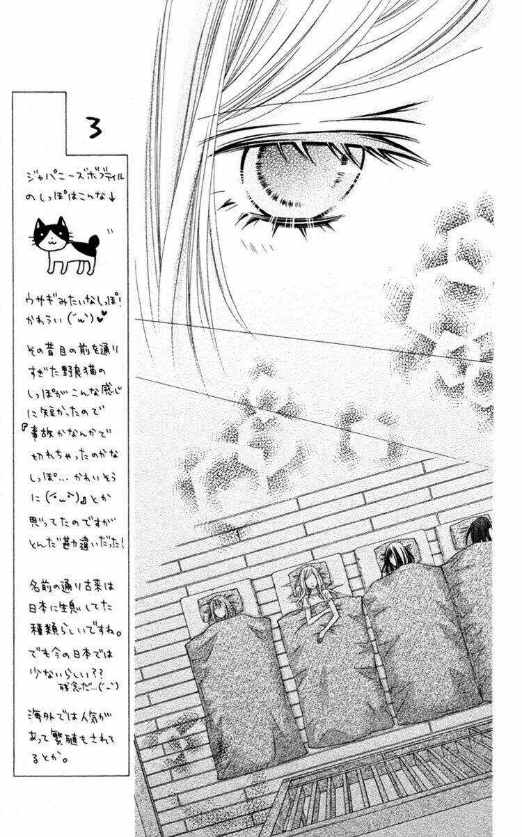 Stardust Wink Chapter 34 trang 21