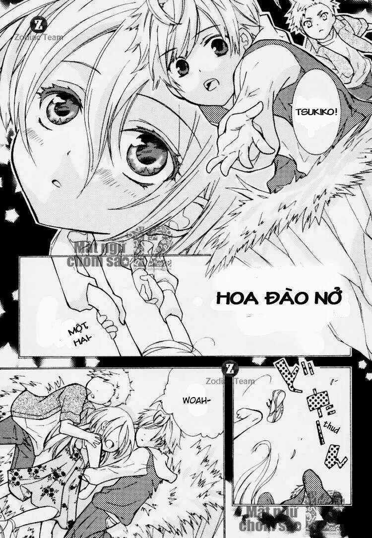 Starry Sky - Four Seasons - Anthology Chapter 3 trang 3
