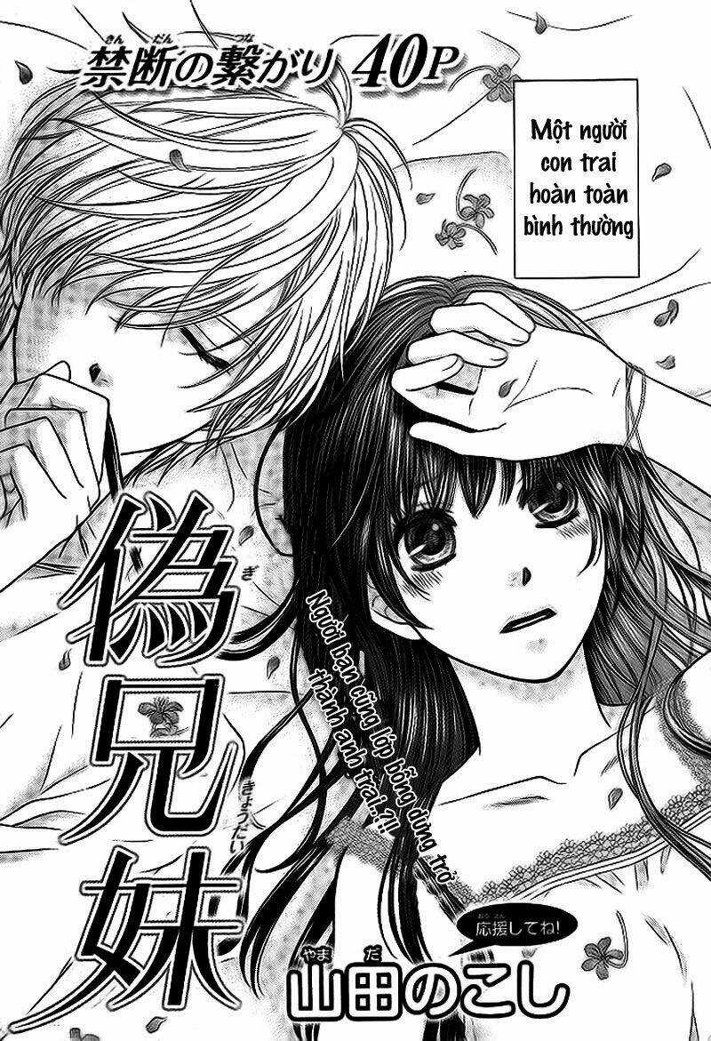 Step Siblings Chapter 1 trang 2