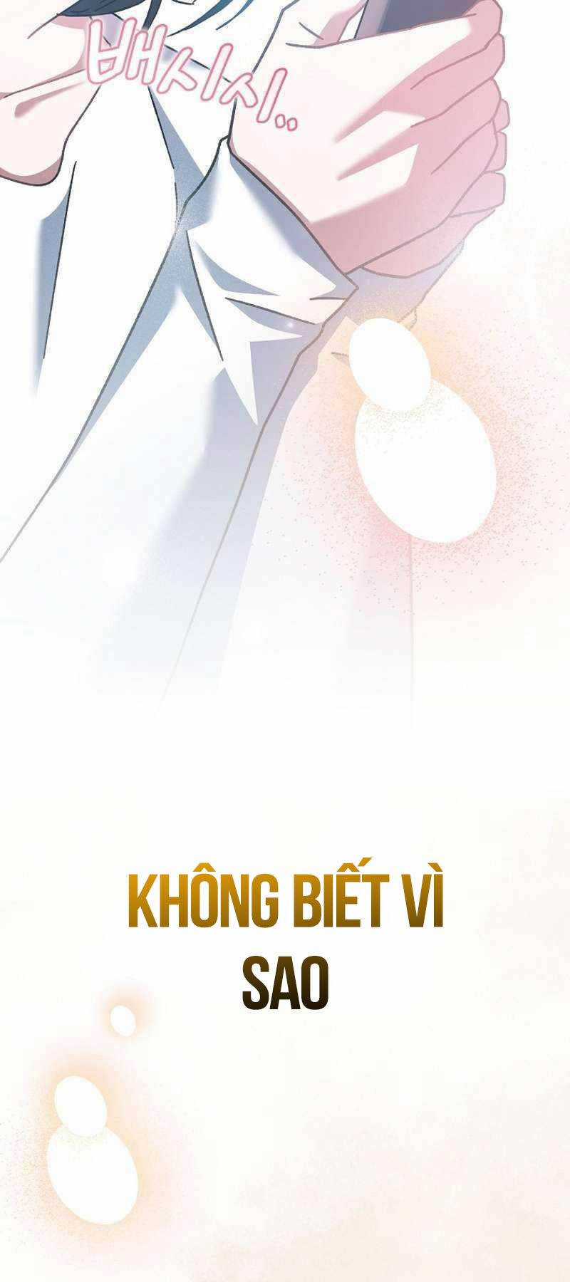 Stream Của Cung Thủ Thiên Tài Chương 19 trang 47