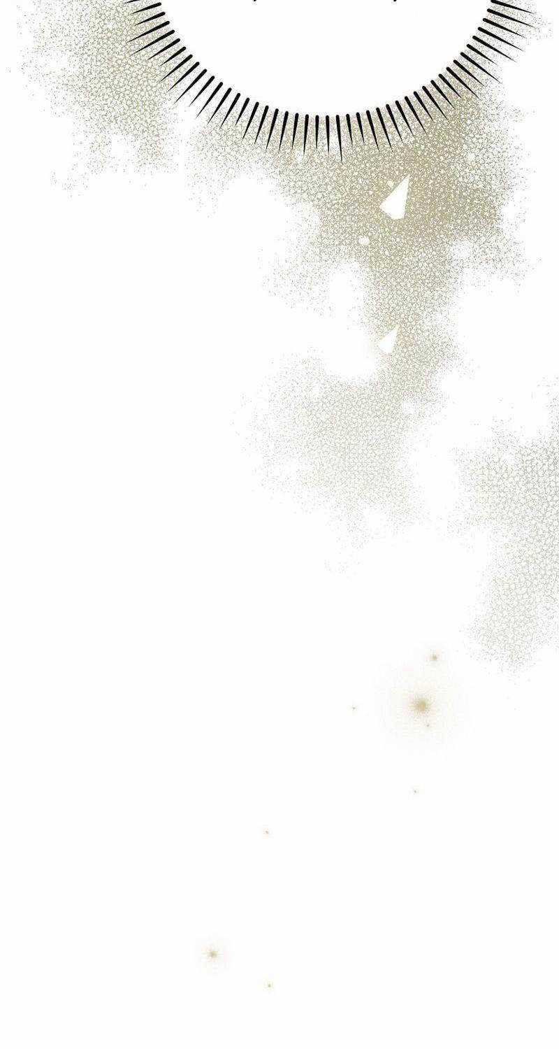 Stream Của Cung Thủ Thiên Tài Chương 37 trang 67