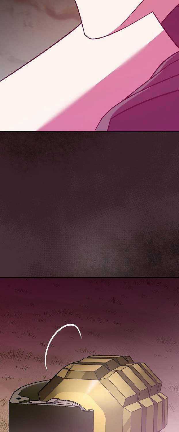 Stream Của Cung Thủ Thiên Tài Chương 42 trang 40