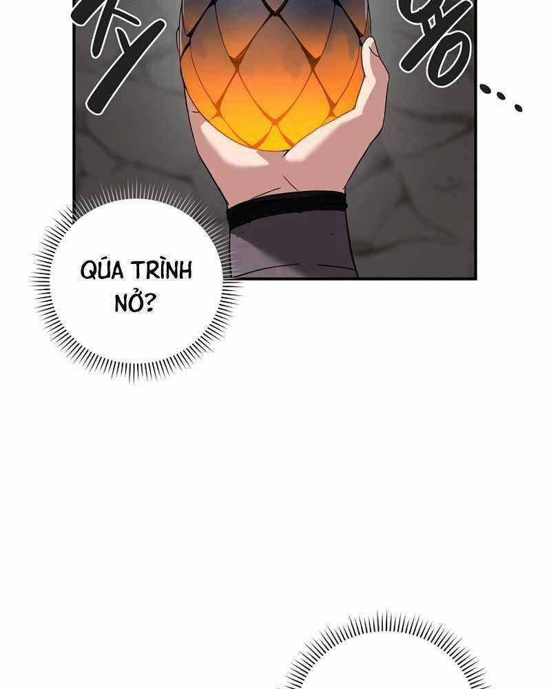 Streamer Pháp Sư Chapter 43 trang 11