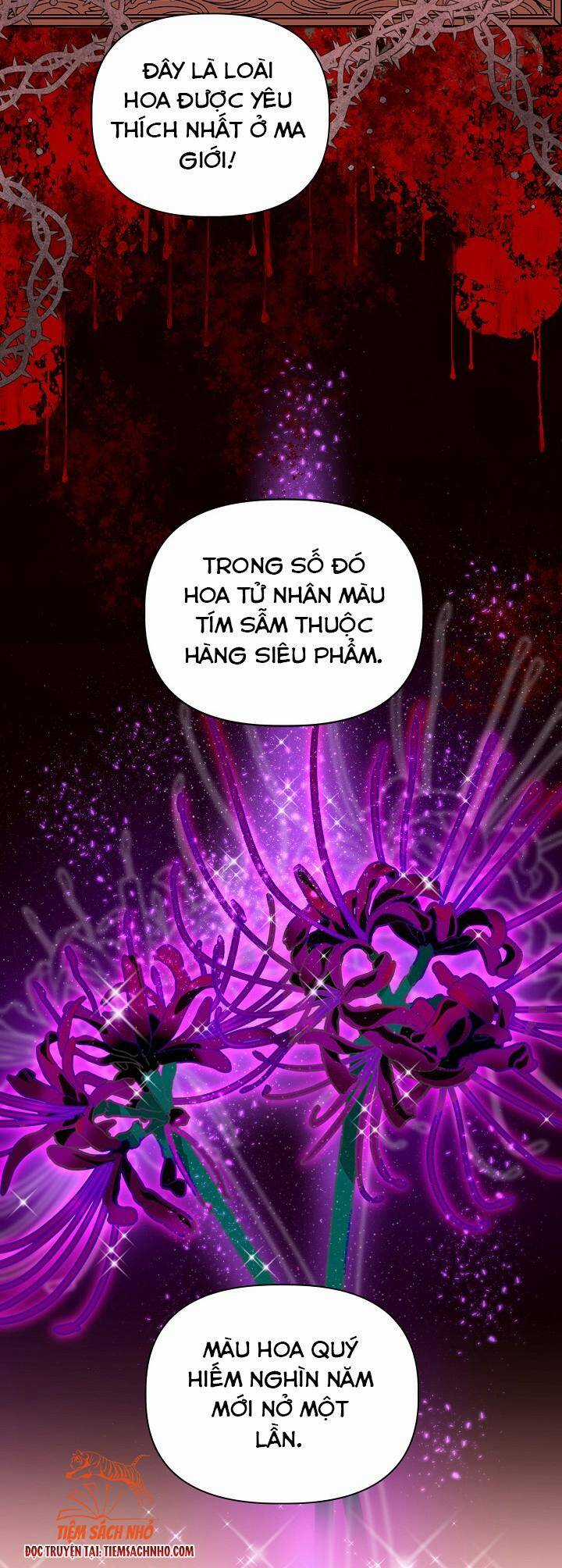 Sự Điều Trị Đặc Biệt Của Tinh Linh Chương 26 trang 34