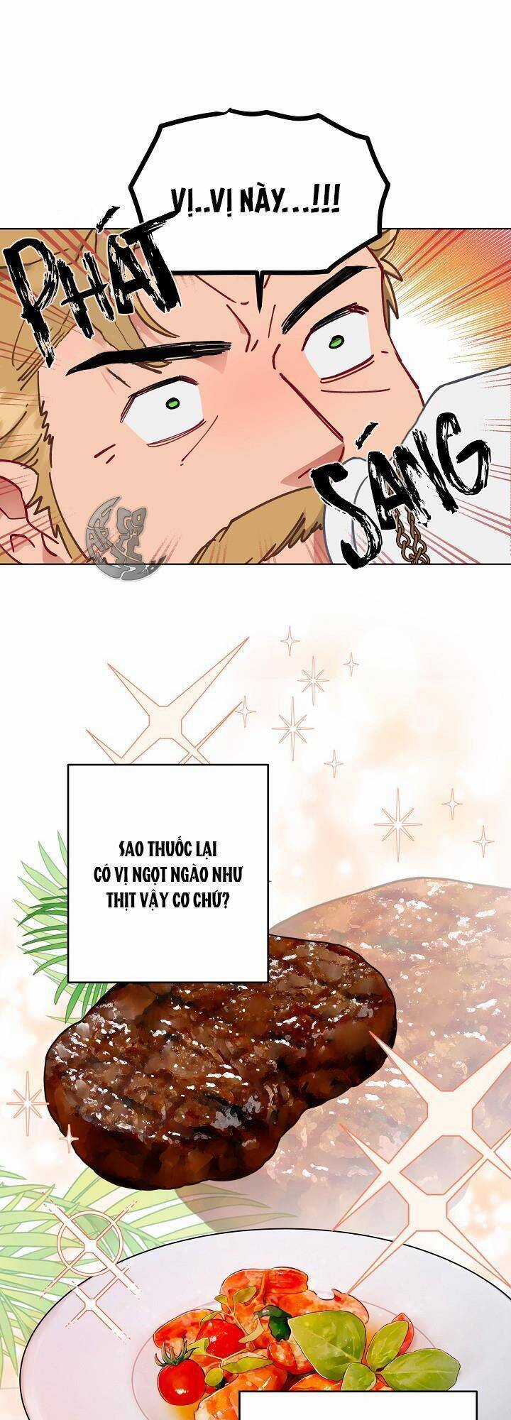 Sự Điều Trị Đặc Biệt Của Tinh Linh Chương 34 trang 39