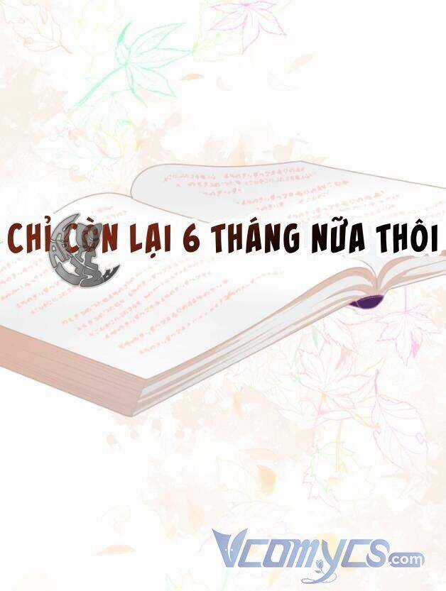 Sự Điều Trị Đặc Biệt Của Tinh Linh Chương 50 trang 71