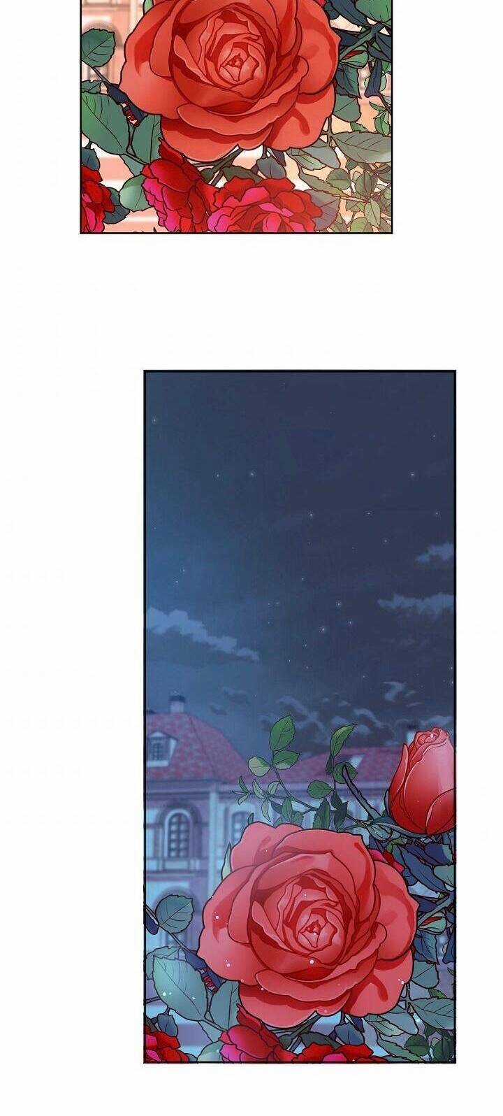 Sự Điều Trị Đặc Biệt Của Tinh Linh Chương 6 trang 35