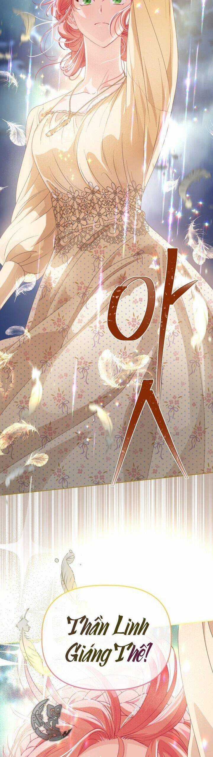 Sự Điều Trị Đặc Biệt Của Tinh Linh Chương 65 trang 28