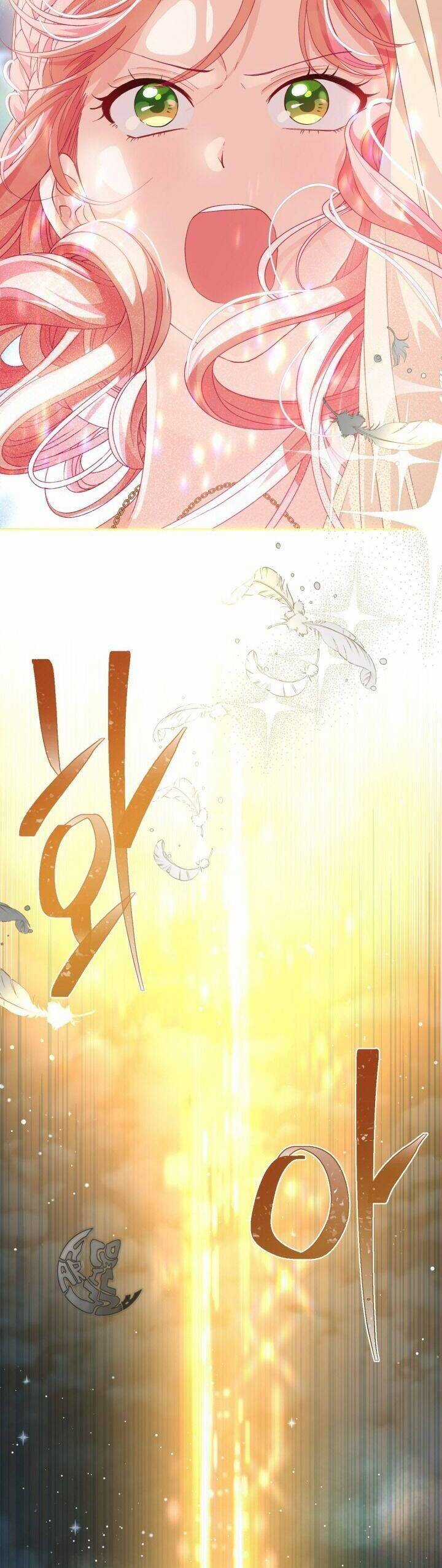 Sự Điều Trị Đặc Biệt Của Tinh Linh Chương 65 trang 29