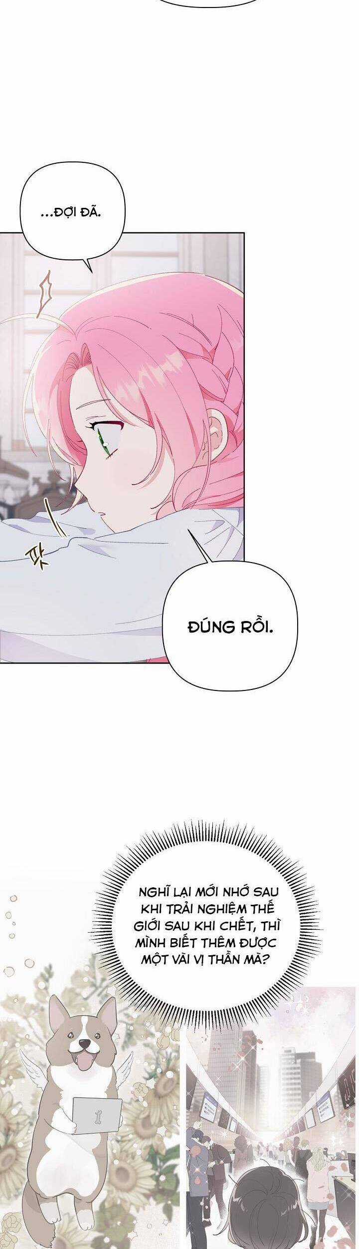 Sự Điều Trị Đặc Biệt Của Tinh Linh Chương 8 trang 23