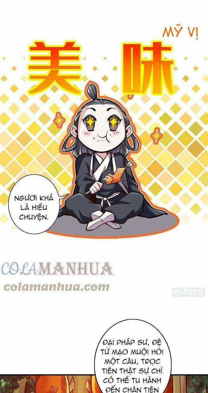 Sư Huynh Của Ta Quá Cẩn Thận Rồi Chapter 172 trang 12