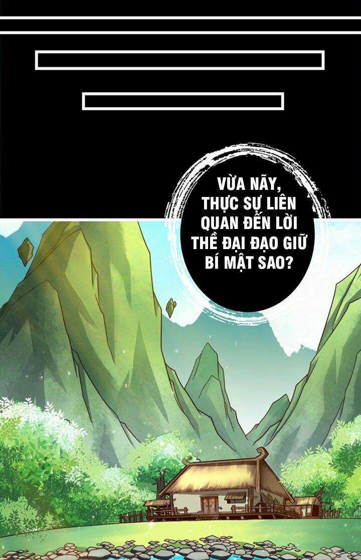 Sư Huynh Nhà Ta Thật Quá Thận Trọng Chapter 3 trang 17