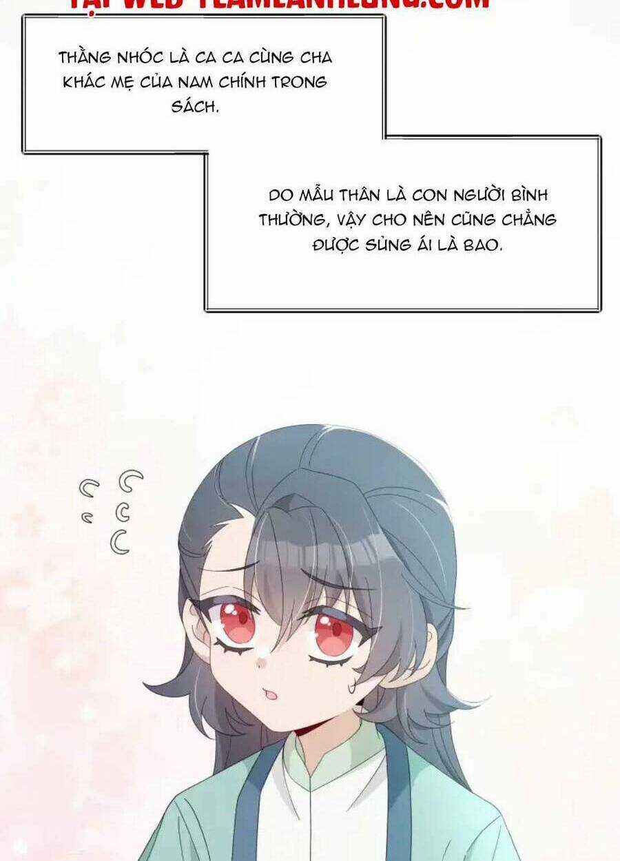 Sư Huynh Phản Diện Bắt Ta Hoàn Lương Chapter 13 trang 16