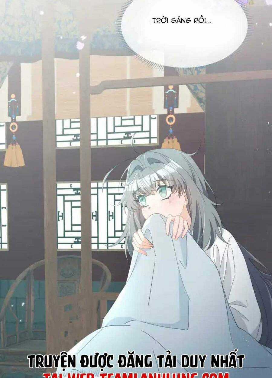 Sư Huynh Phản Diện Bắt Ta Hoàn Lương Chapter 13 trang 3