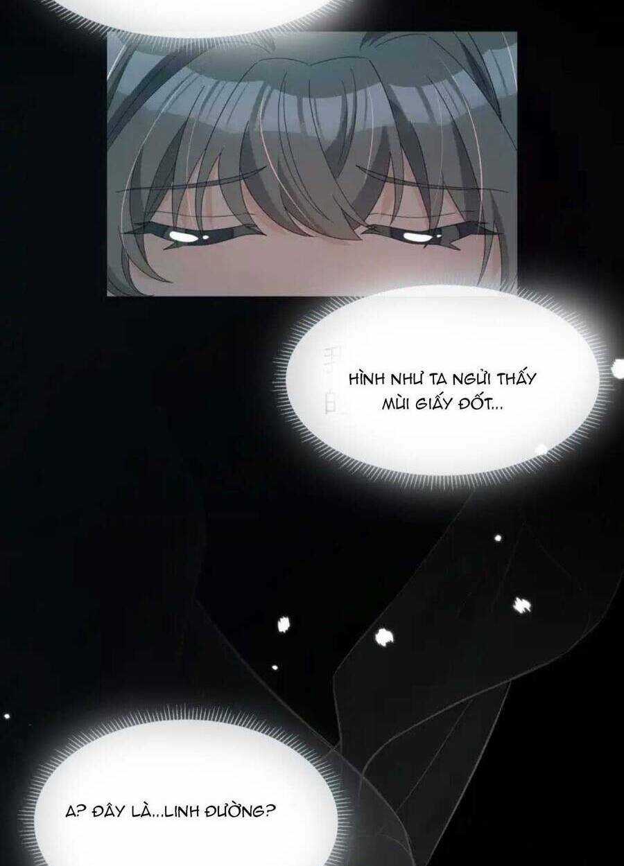 Sư Huynh Phản Diện Bắt Ta Hoàn Lương Chapter 14 trang 11