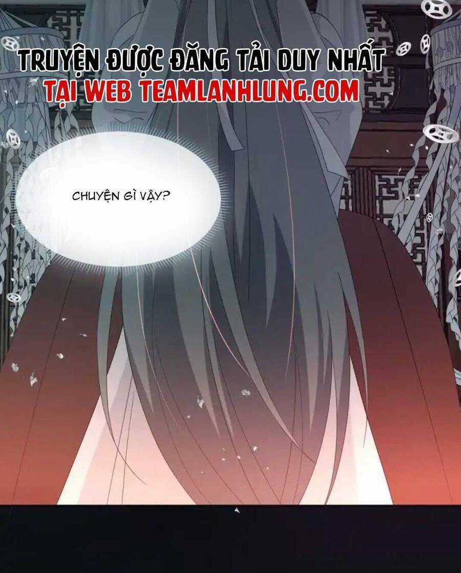 Sư Huynh Phản Diện Bắt Ta Hoàn Lương Chapter 14 trang 13