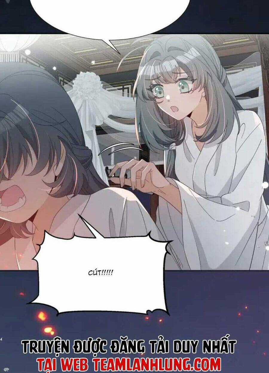 Sư Huynh Phản Diện Bắt Ta Hoàn Lương Chapter 14 trang 17