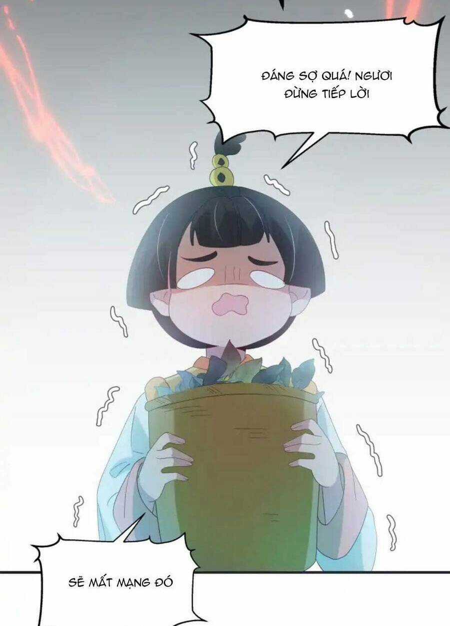 Sư Huynh Phản Diện Bắt Ta Hoàn Lương Chapter 16 trang 11