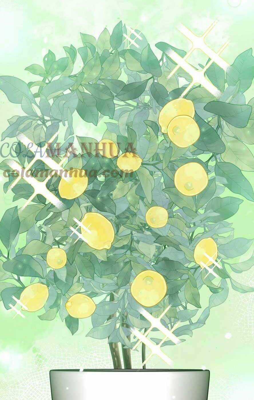 Sư Huynh Phản Diện Bắt Ta Hoàn Lương Chapter 32 trang 31