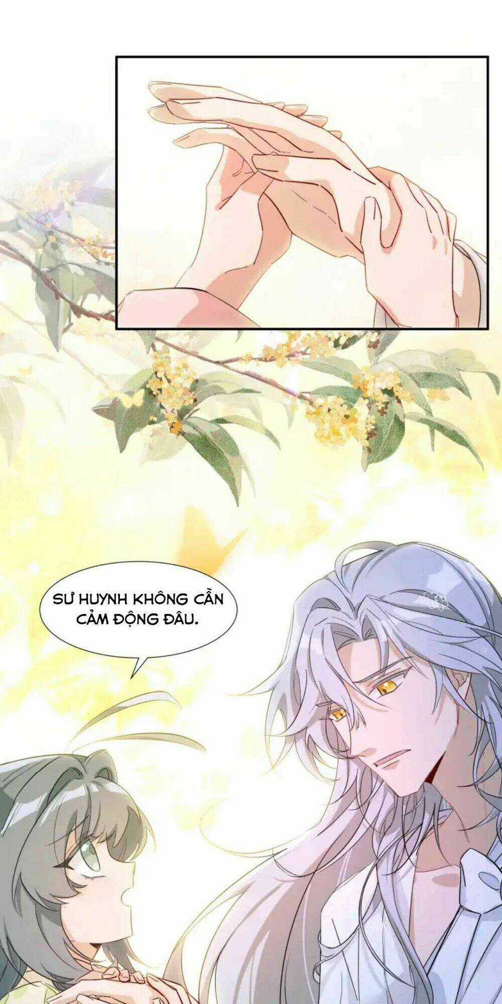 Sư Huynh Phản Diện Bắt Ta Hoàn Lương Chapter 4 trang 16