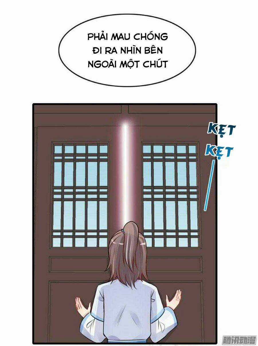 Sư Huynh! Xin Hãy Làm Theo Kịch Bản! Chapter 5 trang 16