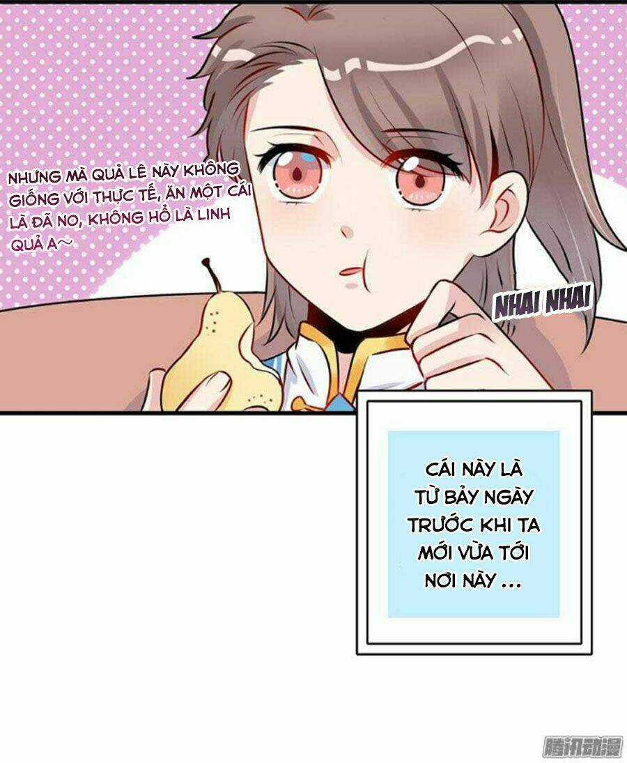 Sư Huynh! Xin Hãy Làm Theo Kịch Bản! Chapter 6 trang 3