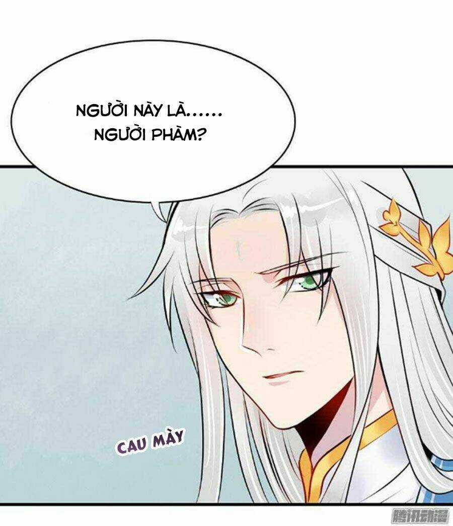 Sư Huynh! Xin Hãy Làm Theo Kịch Bản! Chapter 7 trang 4