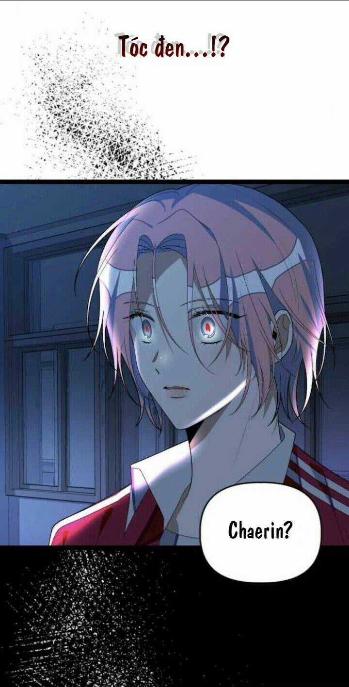 Sự Lãng Mạn Còn Tồn Tại Chapter 42 trang 33