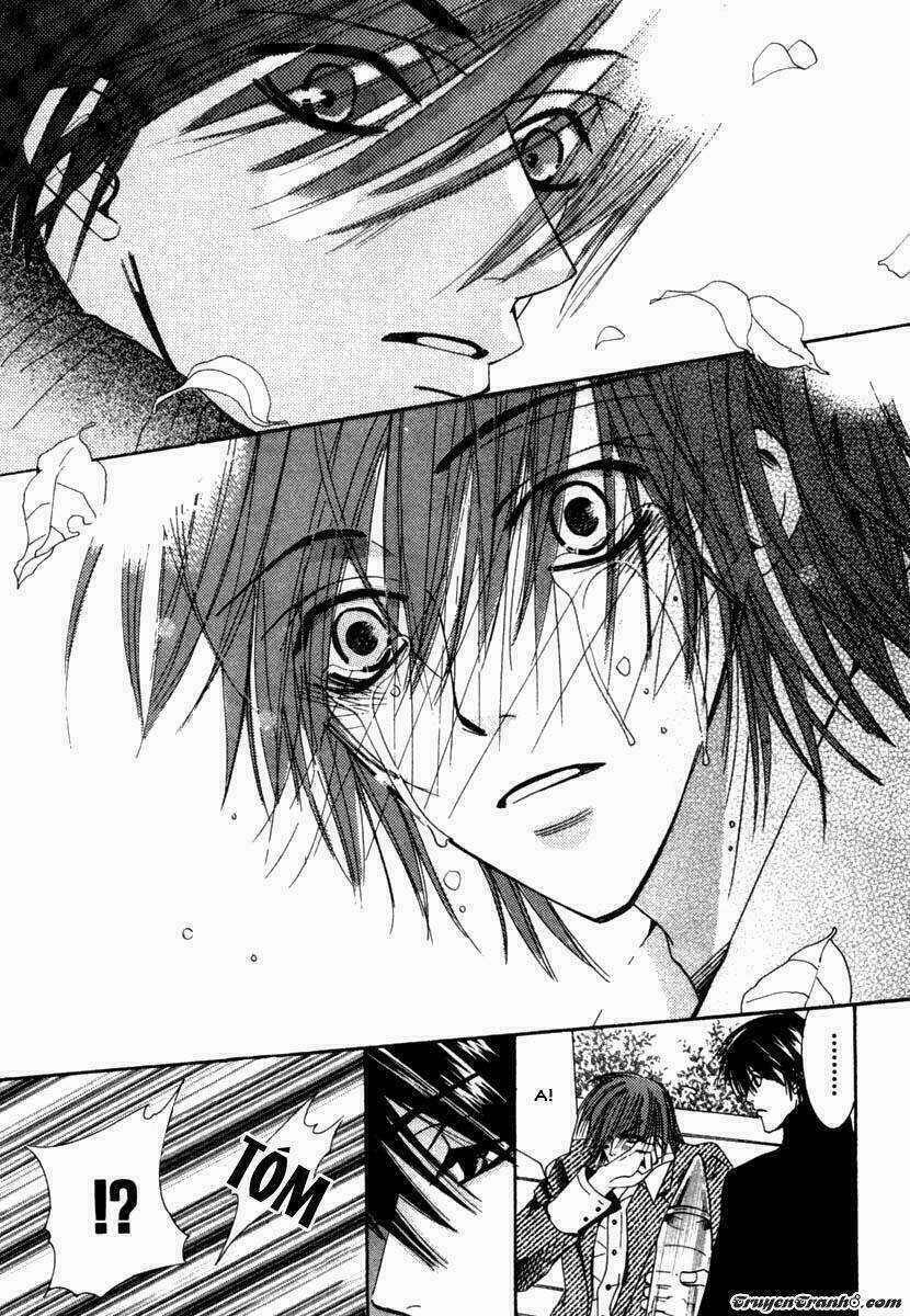 Sự Lãng Mạn Thuần Khiết Chapter 3 trang 8