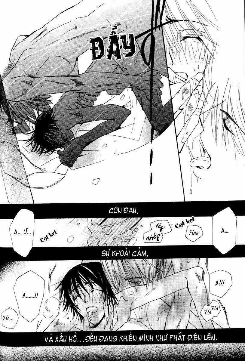 Sự Lãng Mạn Thuần Khiết Chapter 6 trang 53