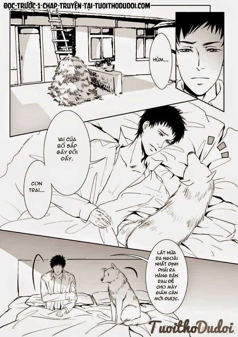 Sự Mê Hoặc Của Sói Chapter 11 trang 1