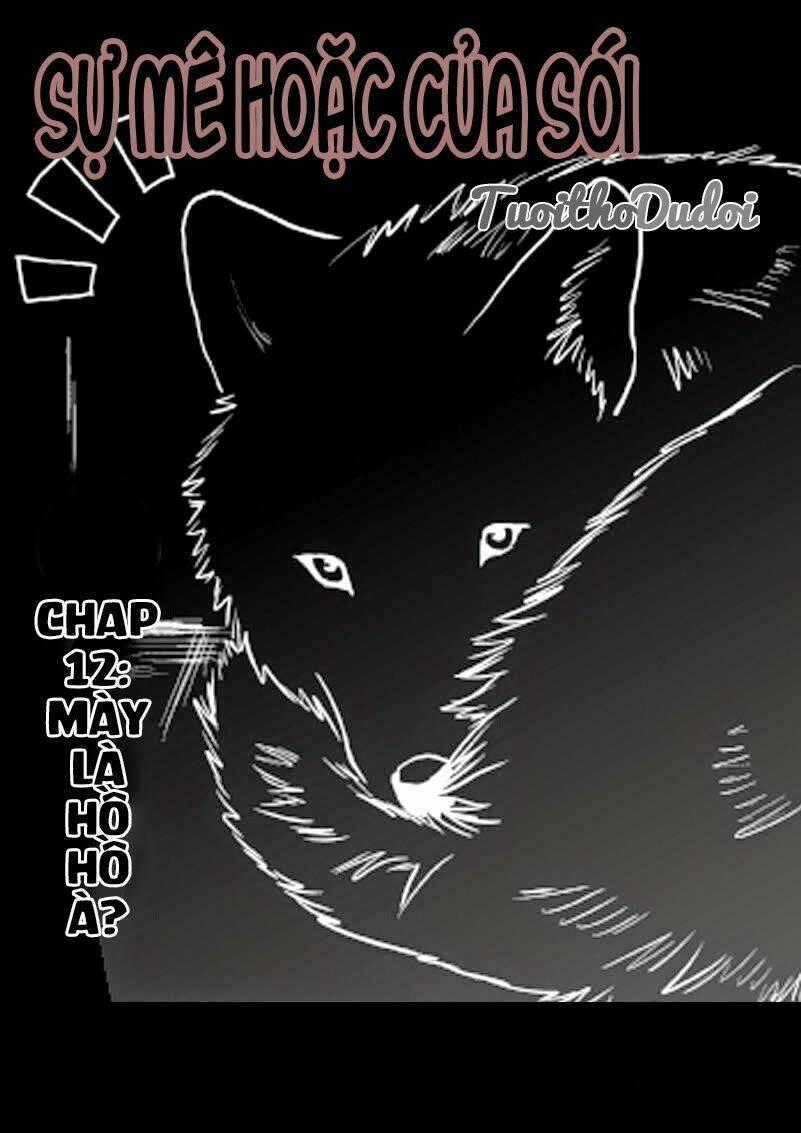 Sự Mê Hoặc Của Sói Chapter 12 trang 0